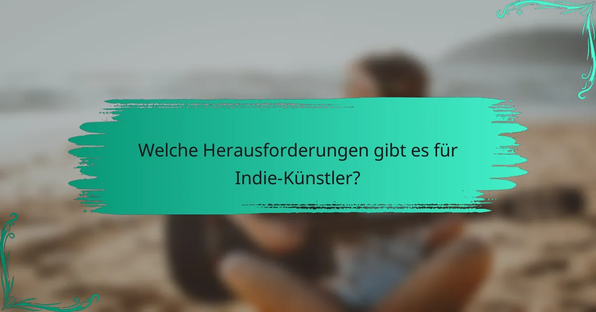 Welche Herausforderungen gibt es für Indie-Künstler?